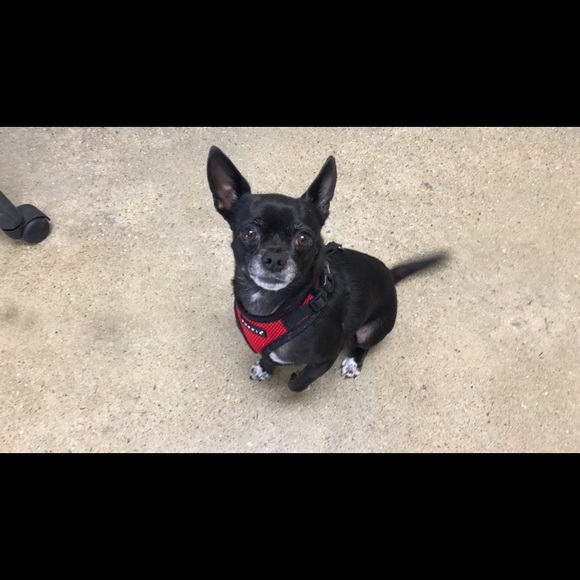 Meet your Posher, Sl - Picture 1 of 1